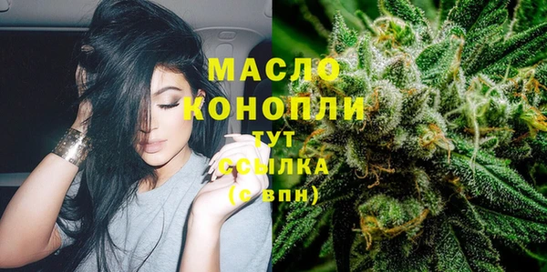 mix Богородицк